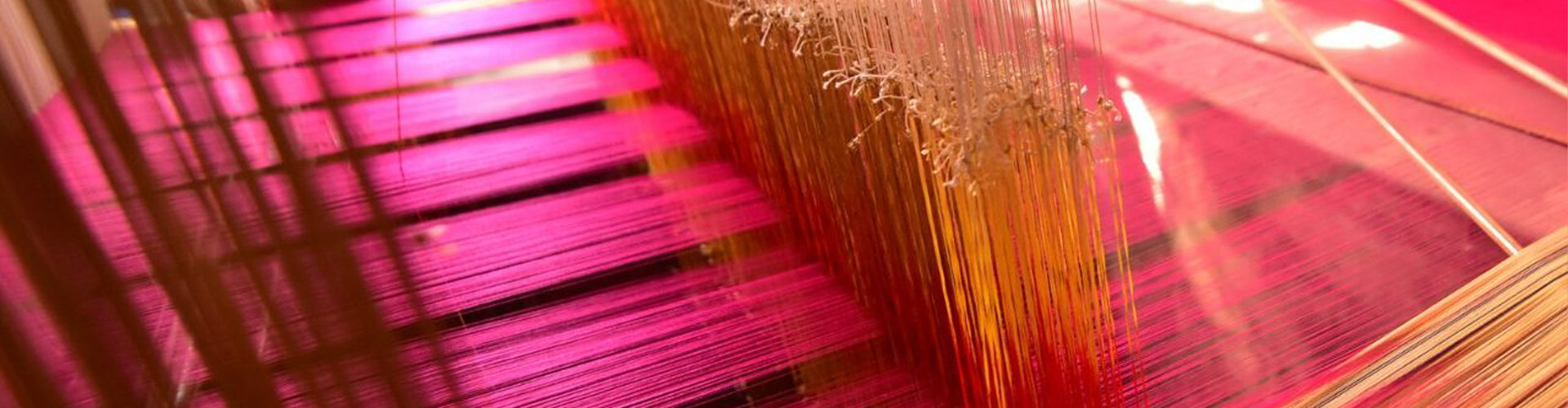 Buy Silk Tanchoi Sarees for Women Online in India