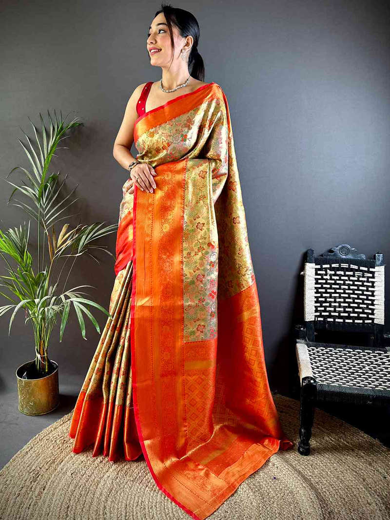 Red Dharmavaram Butterfly Silk Saree