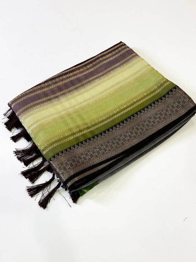 Stylish Soft Silk Kalamkari Zari Stripe Saree