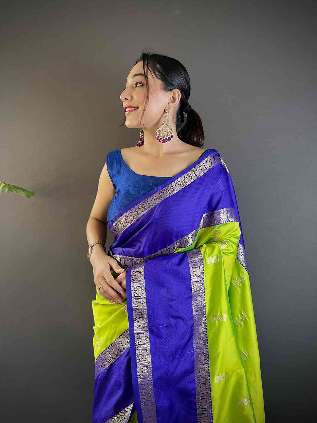 Close-up of Gadhwal silk saree with zari details