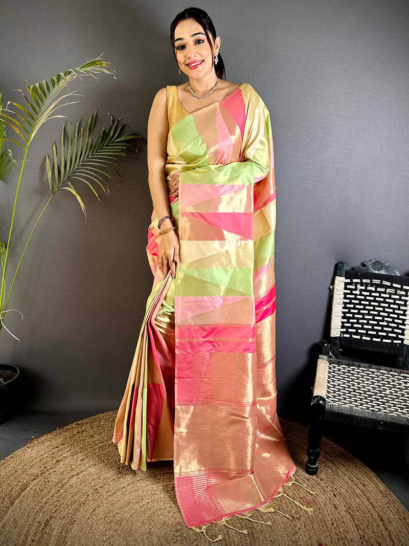 Multicolour Geometric Kanjivaram Silk Saree