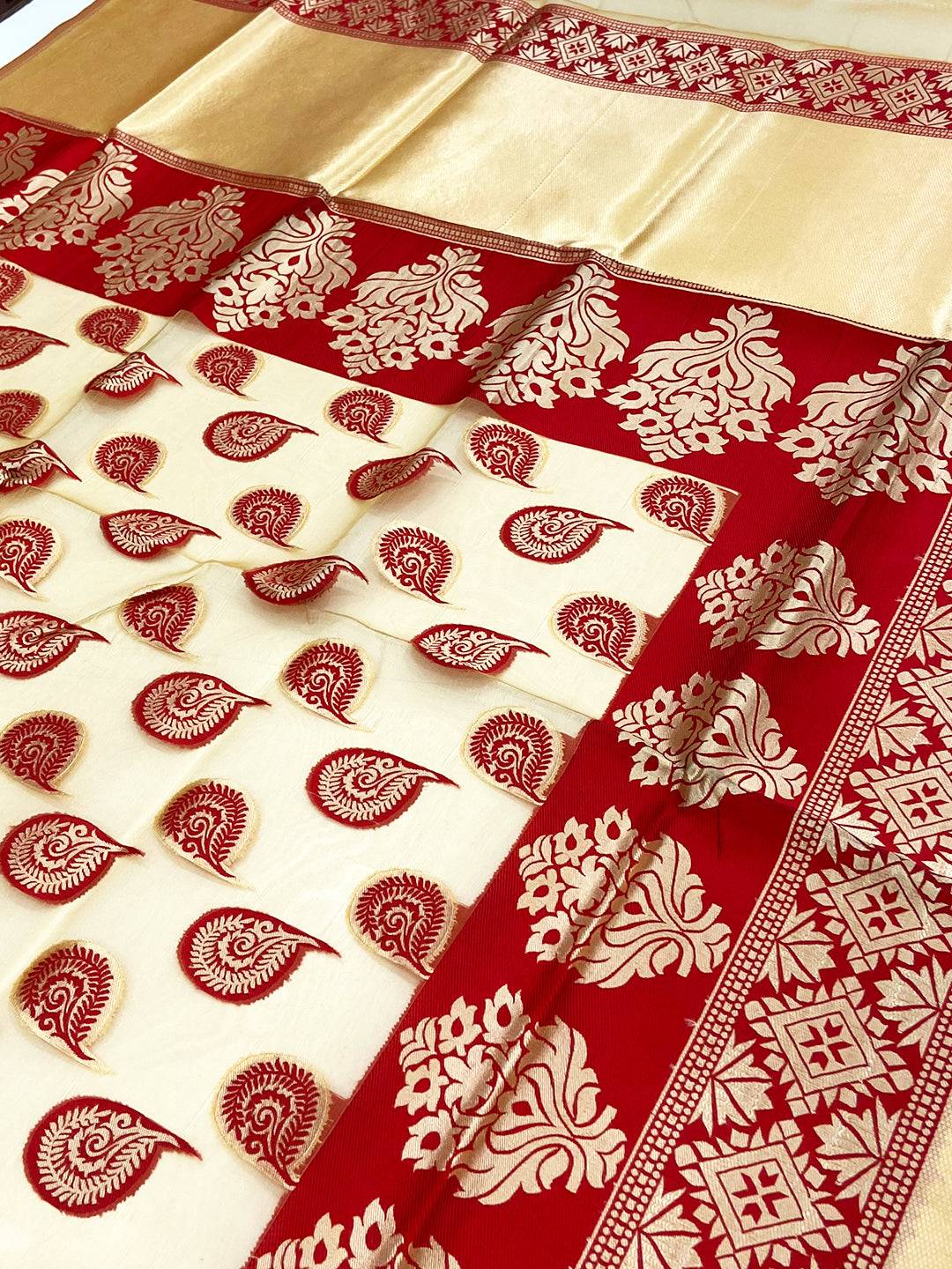 Red Glass Organza Minakari Pallu Saree