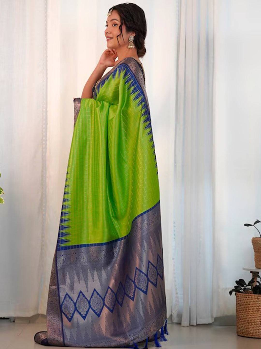 Side view of green Banarasi saree with detailed blue border