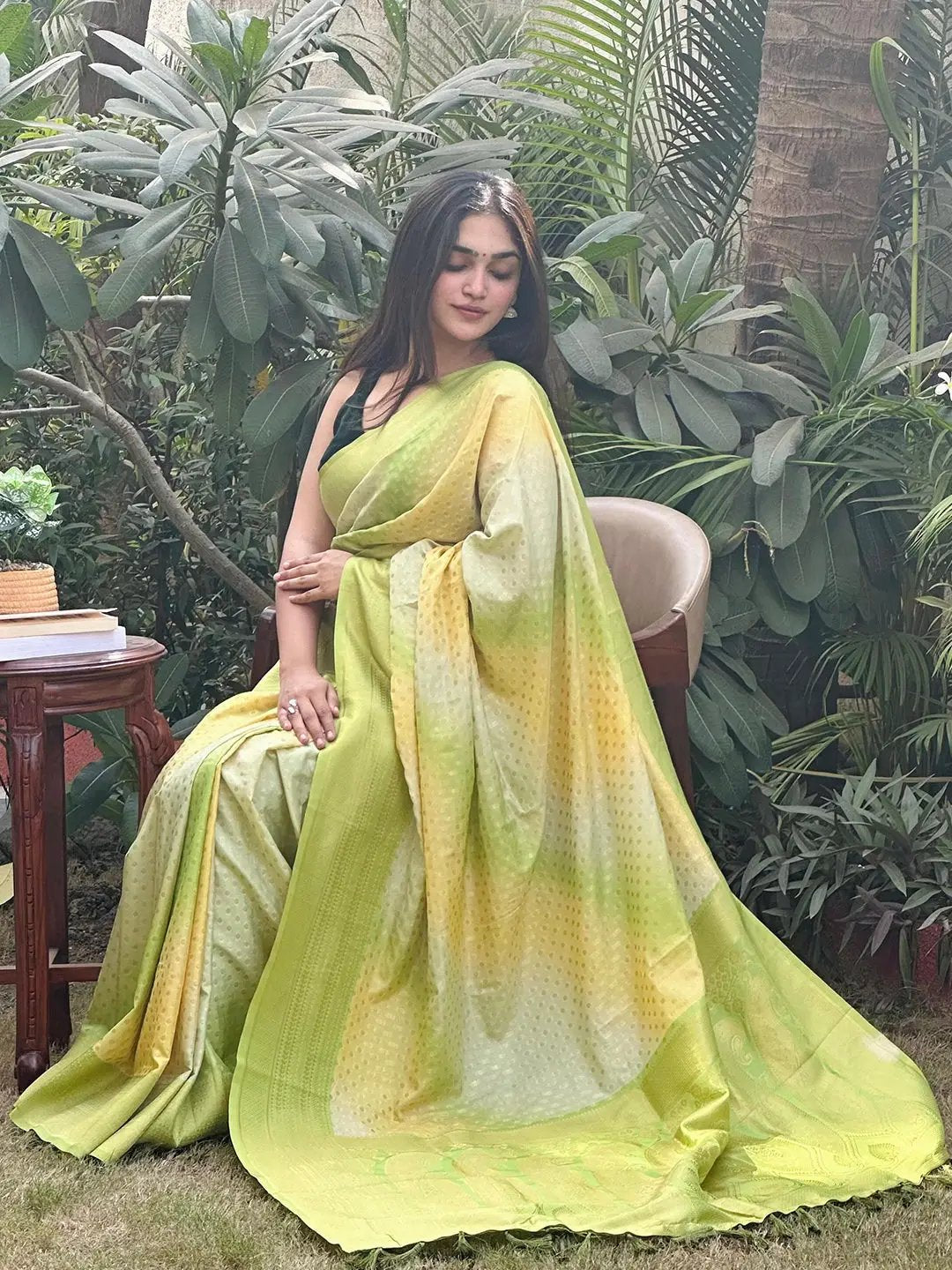 Graceful Soft Silk Banarasi Ombre Saree in natural setting