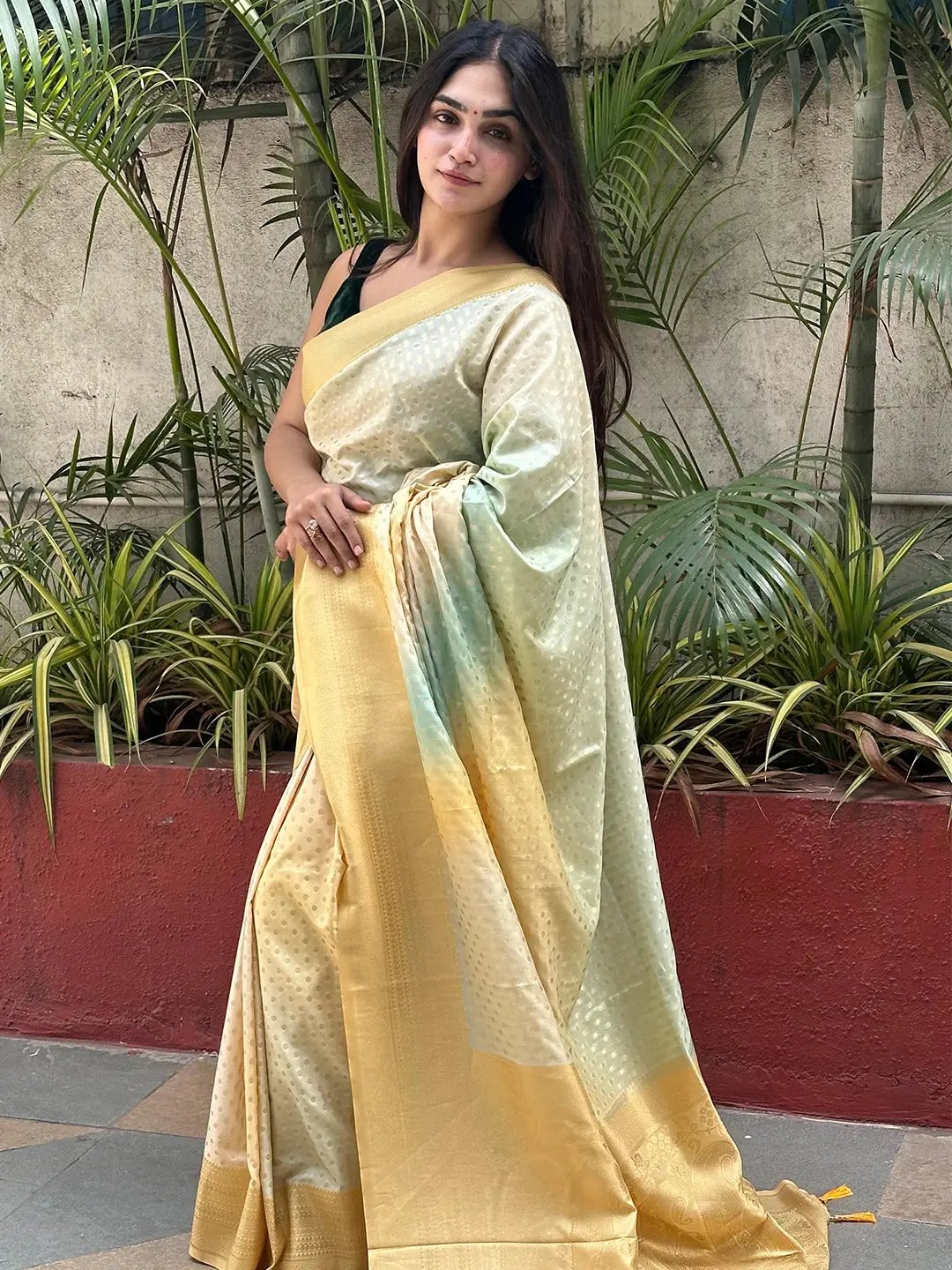Elegant Banarasi Ombre Saree with soft silk texture