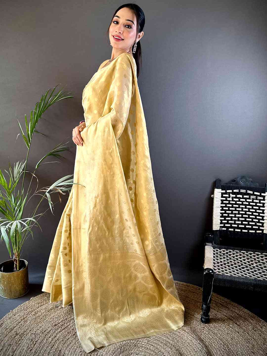 Elegant Gold Zari Glass Tissue Saree