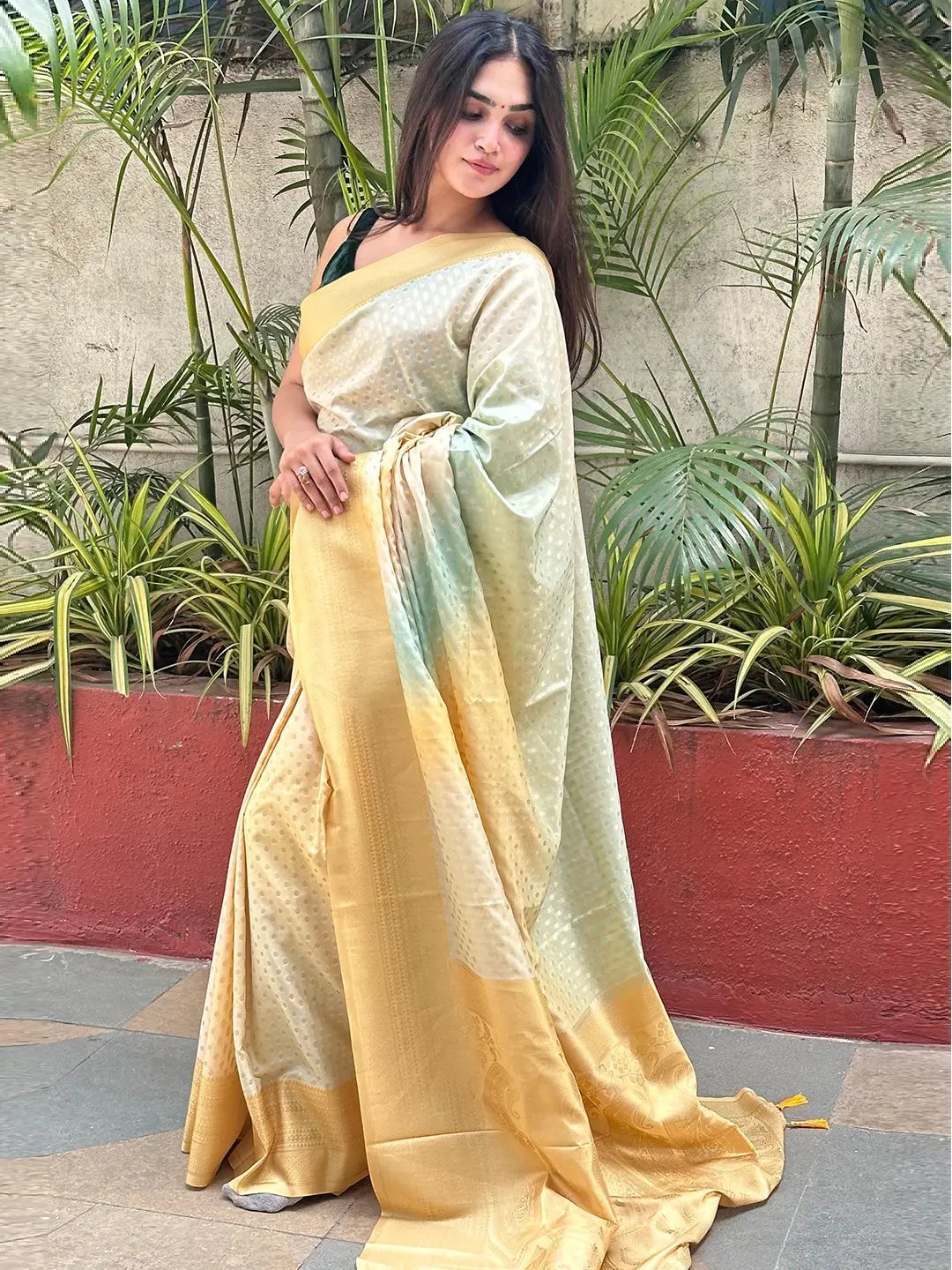 Traditional Banarasi Saree with ombre print design