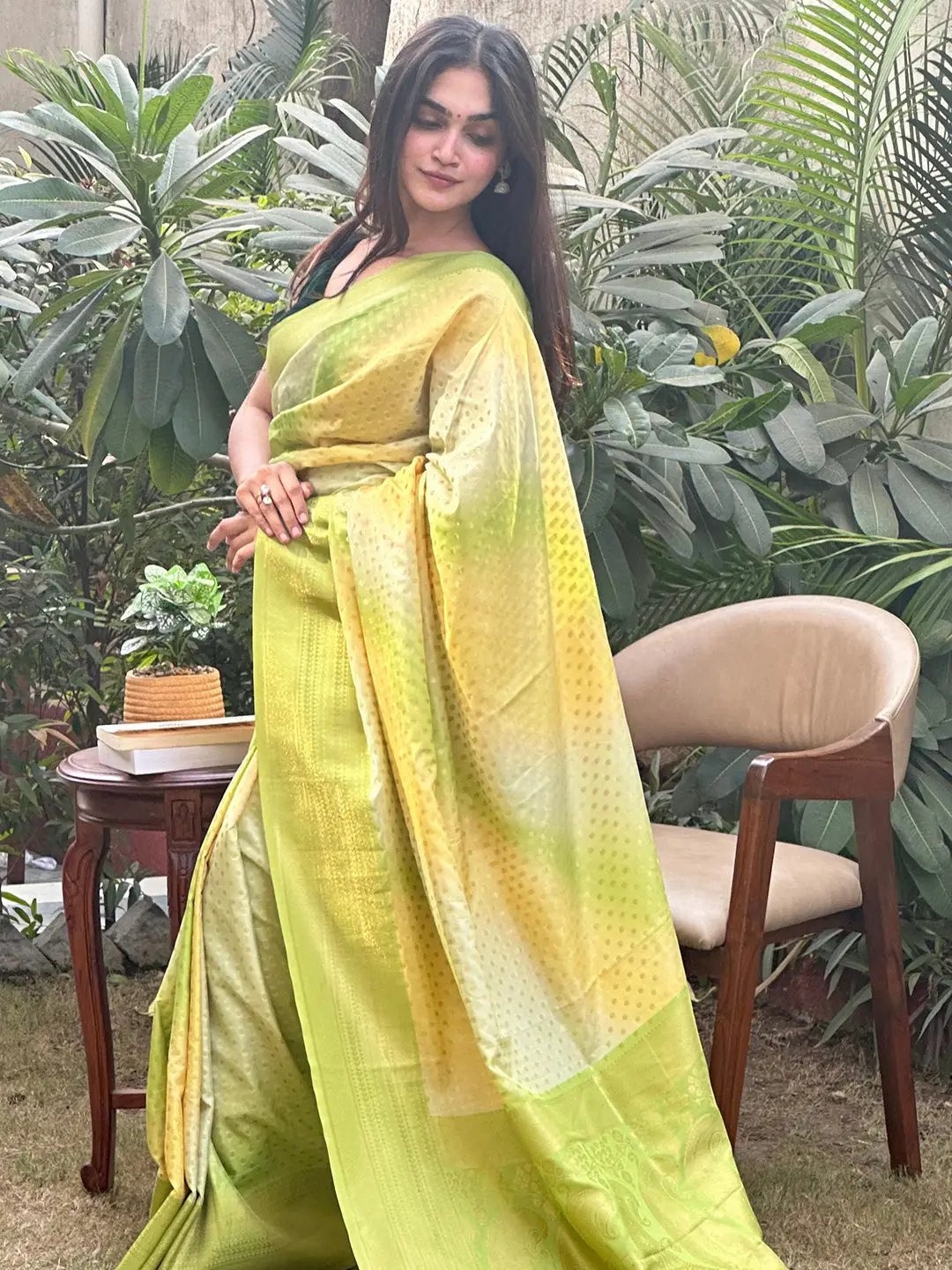 Stylish Soft Silk Banarasi Ombre Saree with greenery backdrop