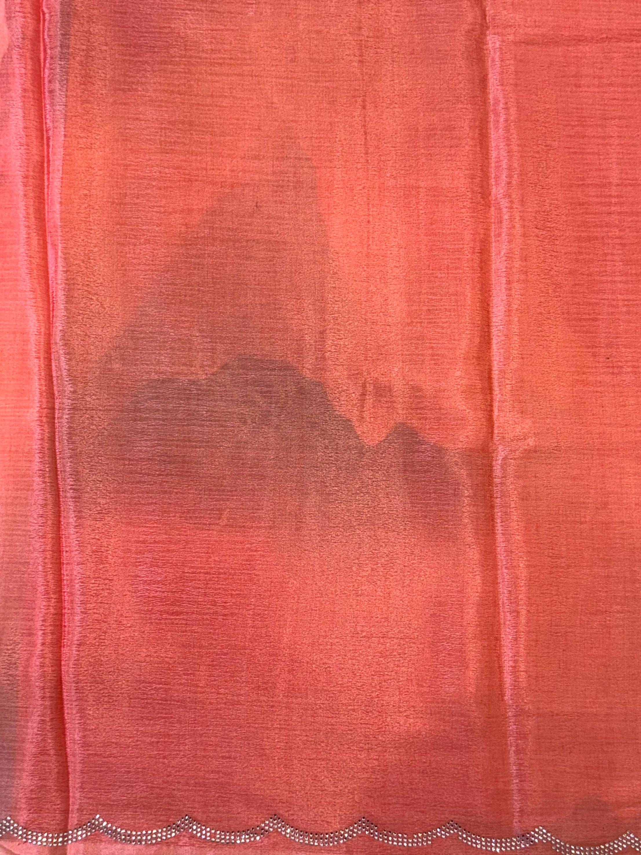 Majestic Freehand Abstract Chinnon Saree