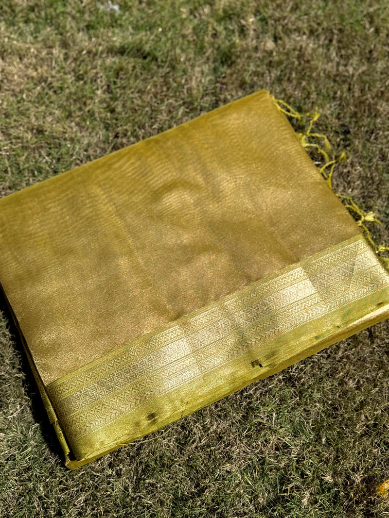 Elegant Green Gold Zari Tissue Saree