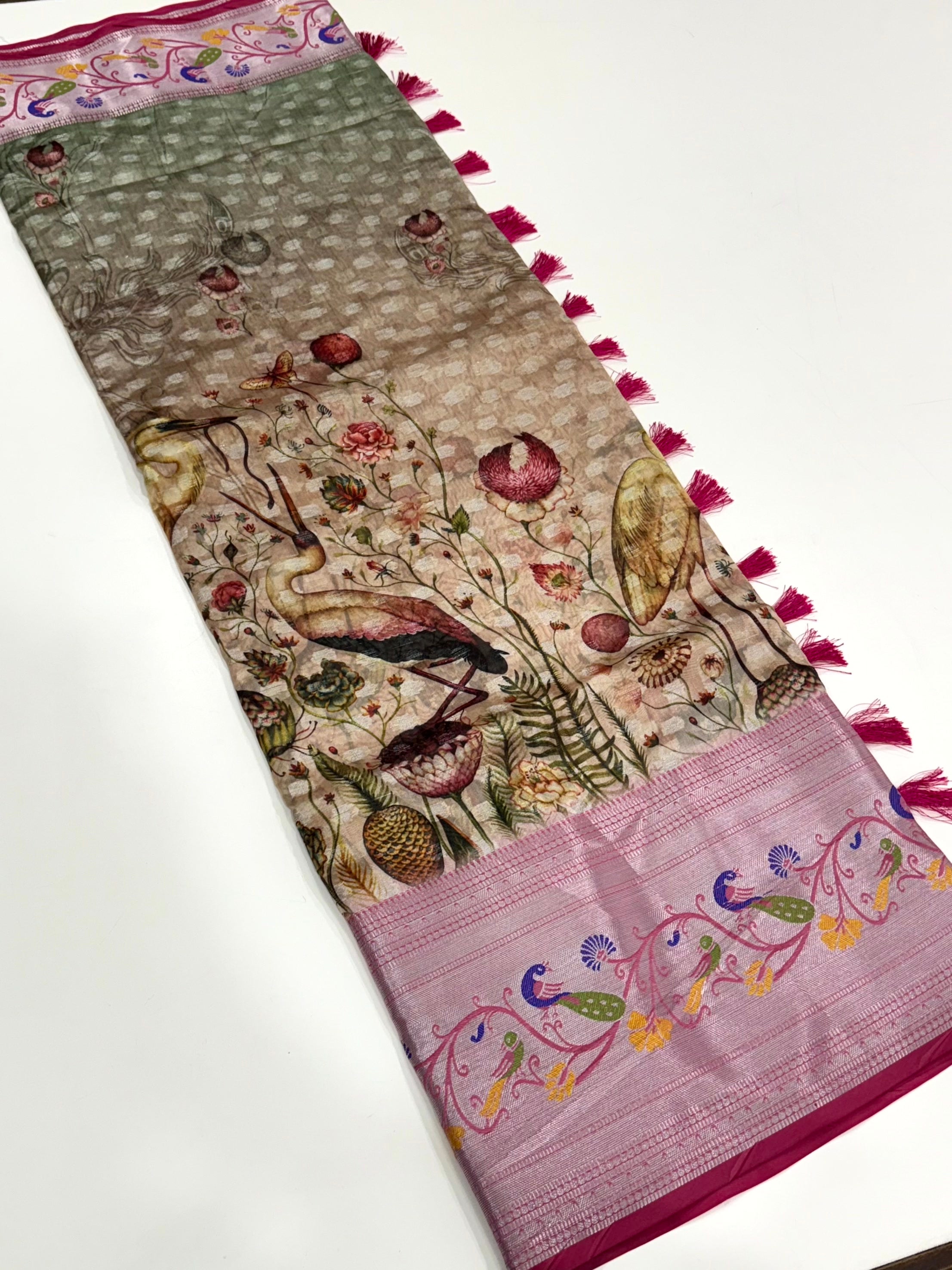 Beige Organza Tissue Saree