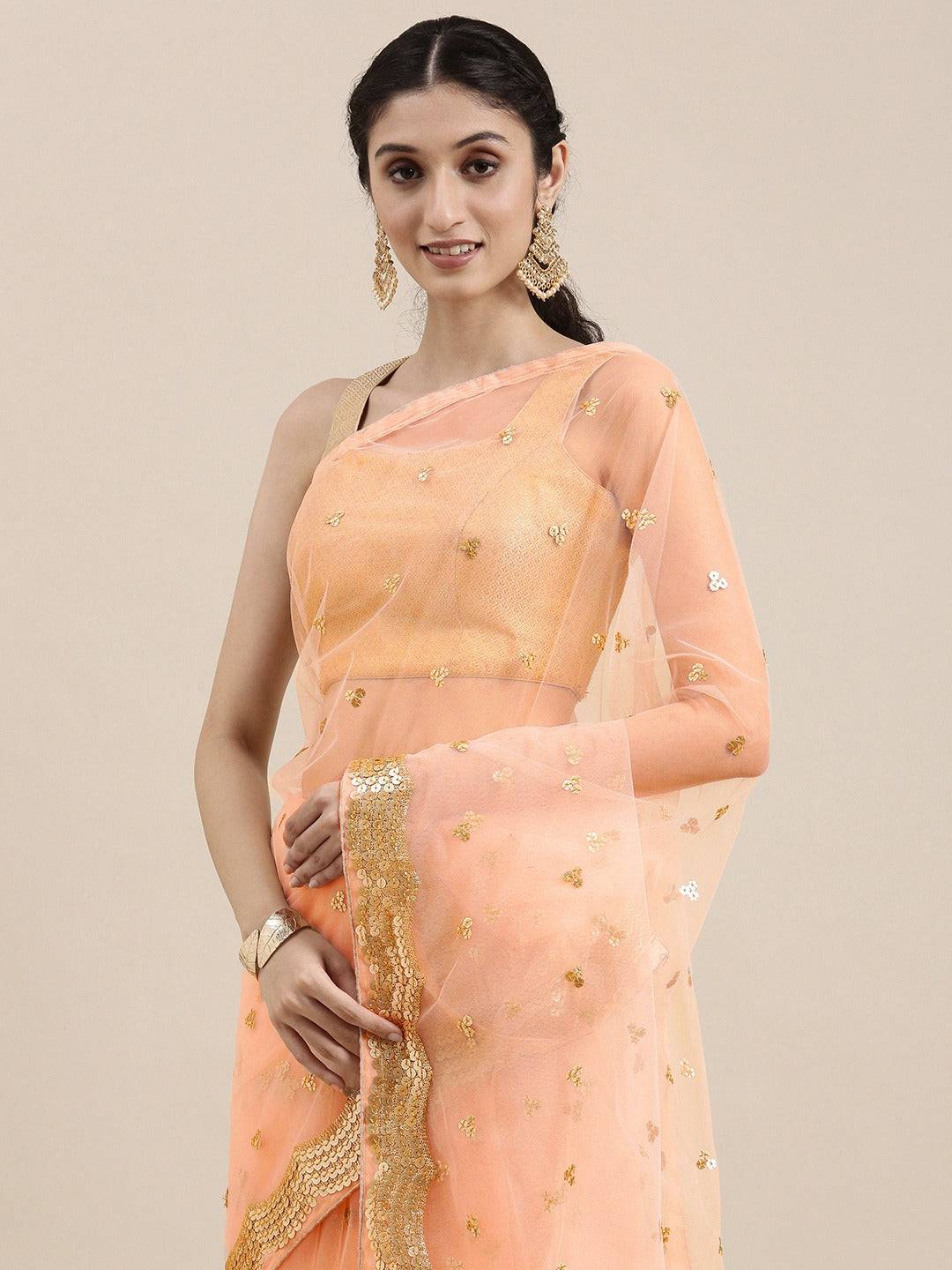 Soft Net Sequence Work Party Wear Saree