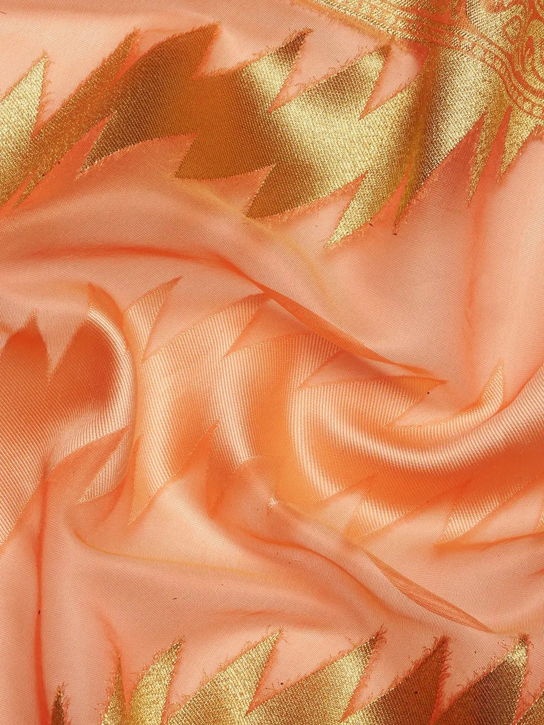 Pure Organza Banarasi Zari Motif Designer Saree