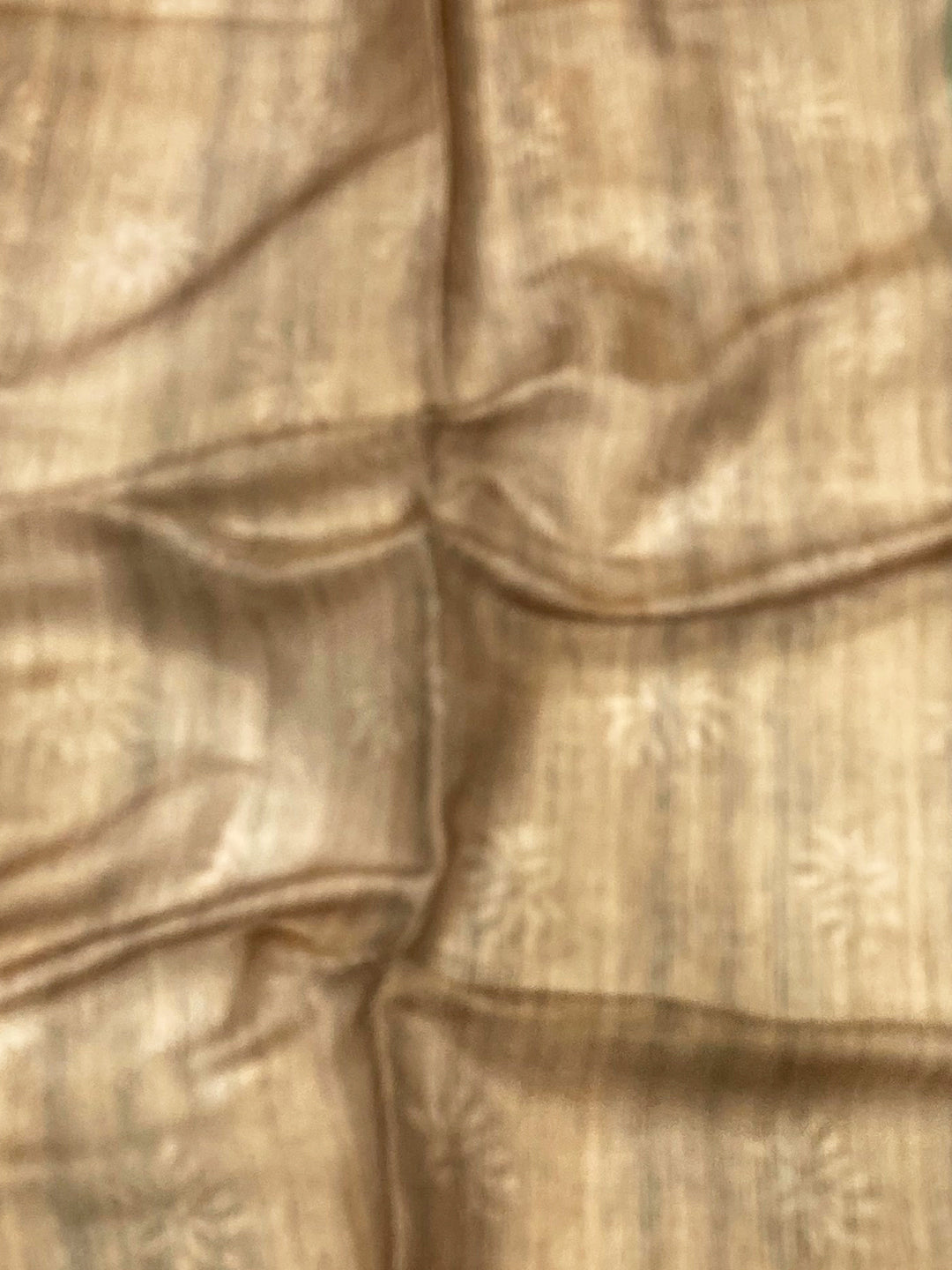 Green Tissue Chanderi Floral Abstract Saree