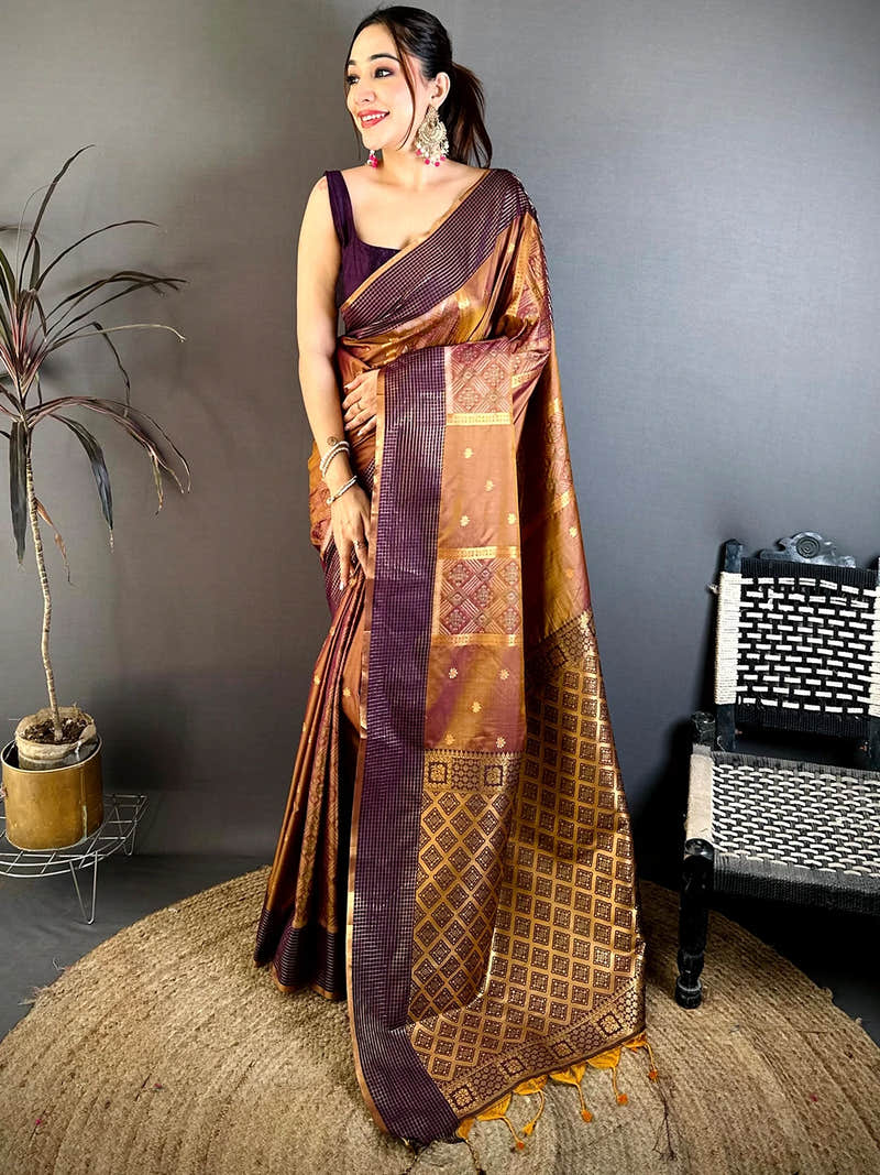 Regal Soft Silk Ikkat Pochampally Saree
