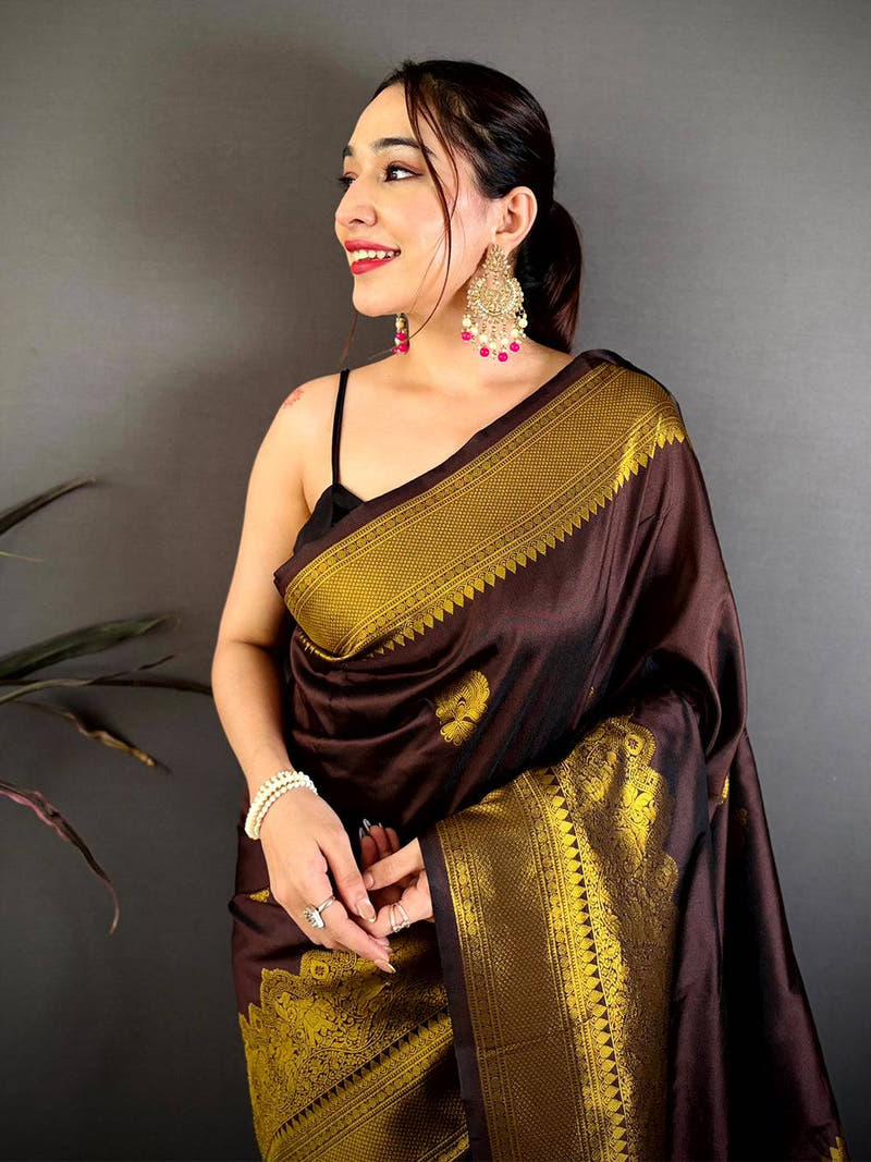 Chocolate Brown Soft Silk Ethnic Motif Saree