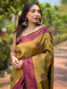Vastranand Sarees