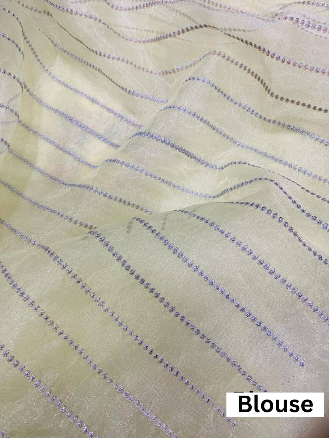 Silk Organza Saree Embroidery Work and Dyable Lace Border
