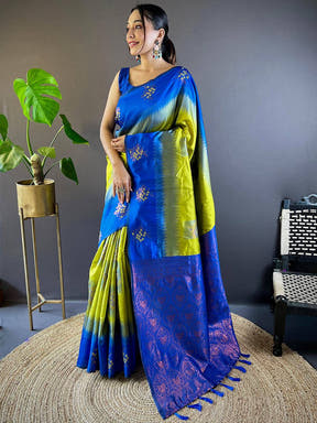 Full view of blue and green Banarasi silk saree