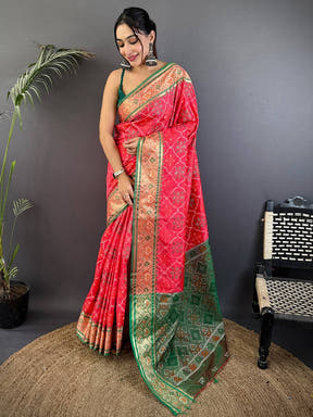 Artistic Pochampally Patola Silk Saree

