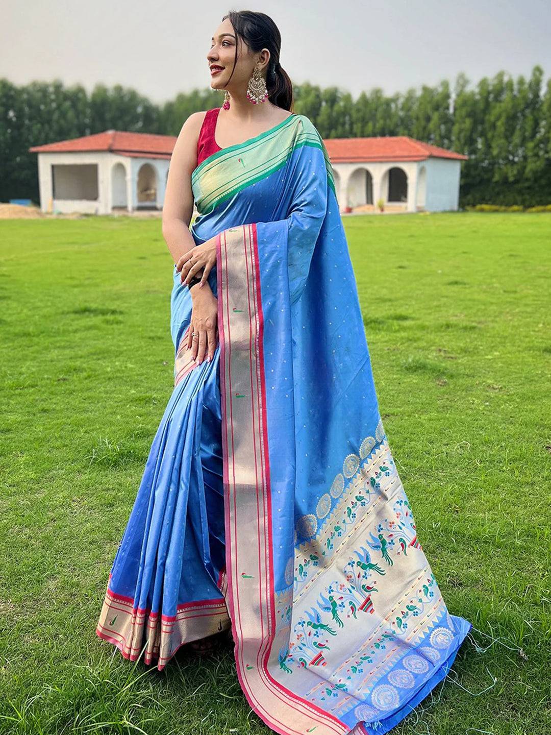 Full view of Sky Blue Paithani Saree with intricate border design