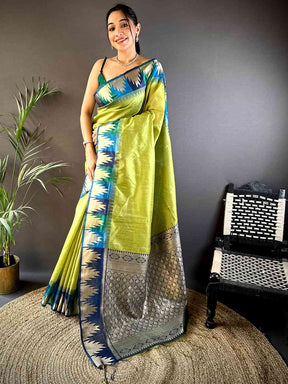 Green Banarasi Raw Silk Ikkat Saree