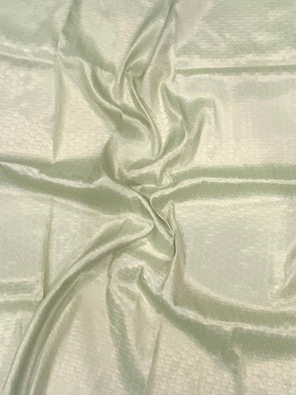 Pastel Green Kanjivaram Digital Silk Saree