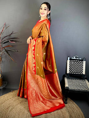 Brown Silk Saree with Red Border on Grass