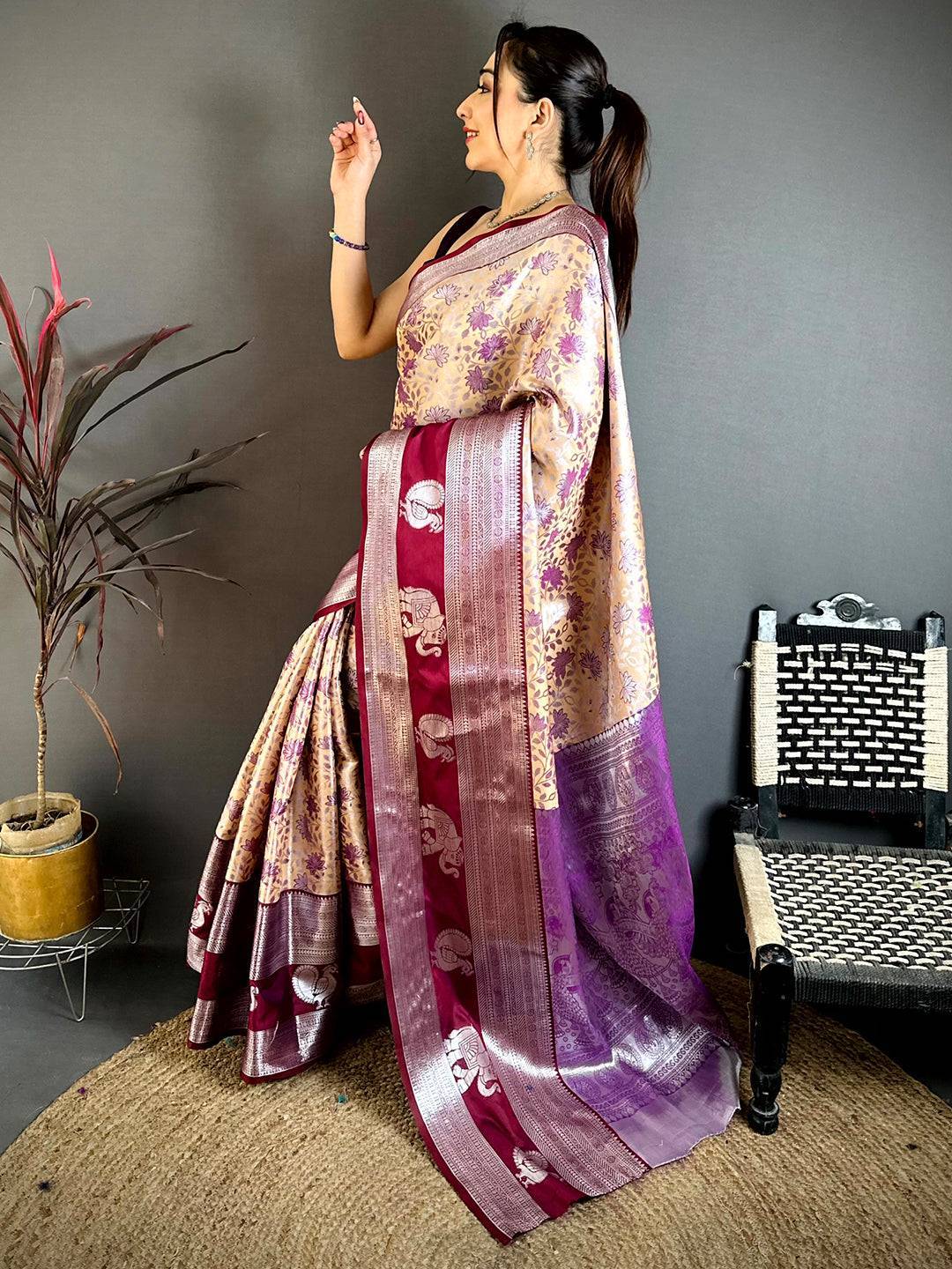 Beige Dharmavaram Double Ikkat Saree