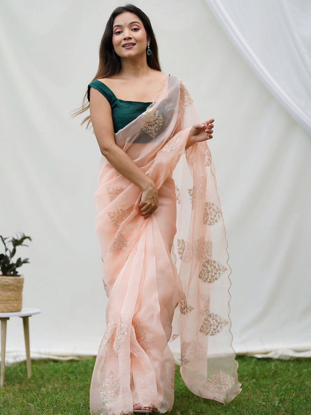 Pure Soft Organza Silk Saree With Embroidery Sequence Work