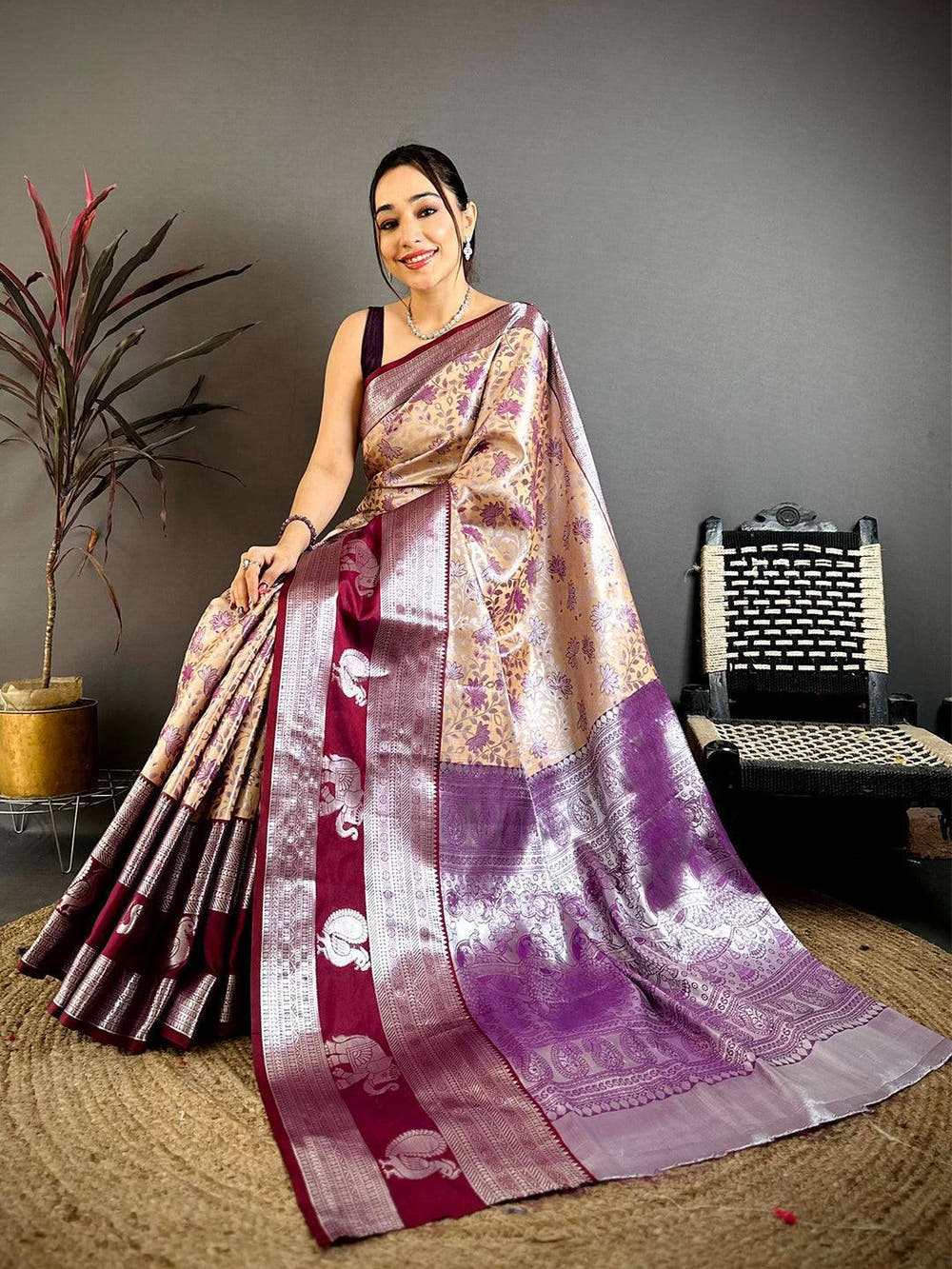 Beige Dharmavaram Double Ikkat Saree
