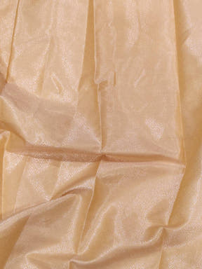 Pastel Green Kota Kora Meenakari Saree
