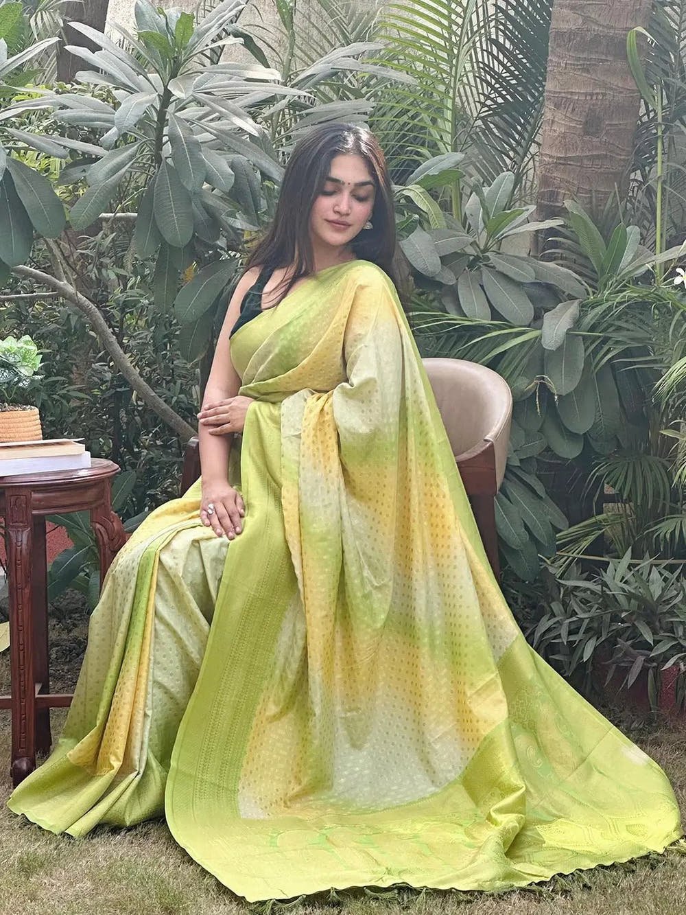 Graceful Soft Silk Banarasi Ombre Saree in natural setting