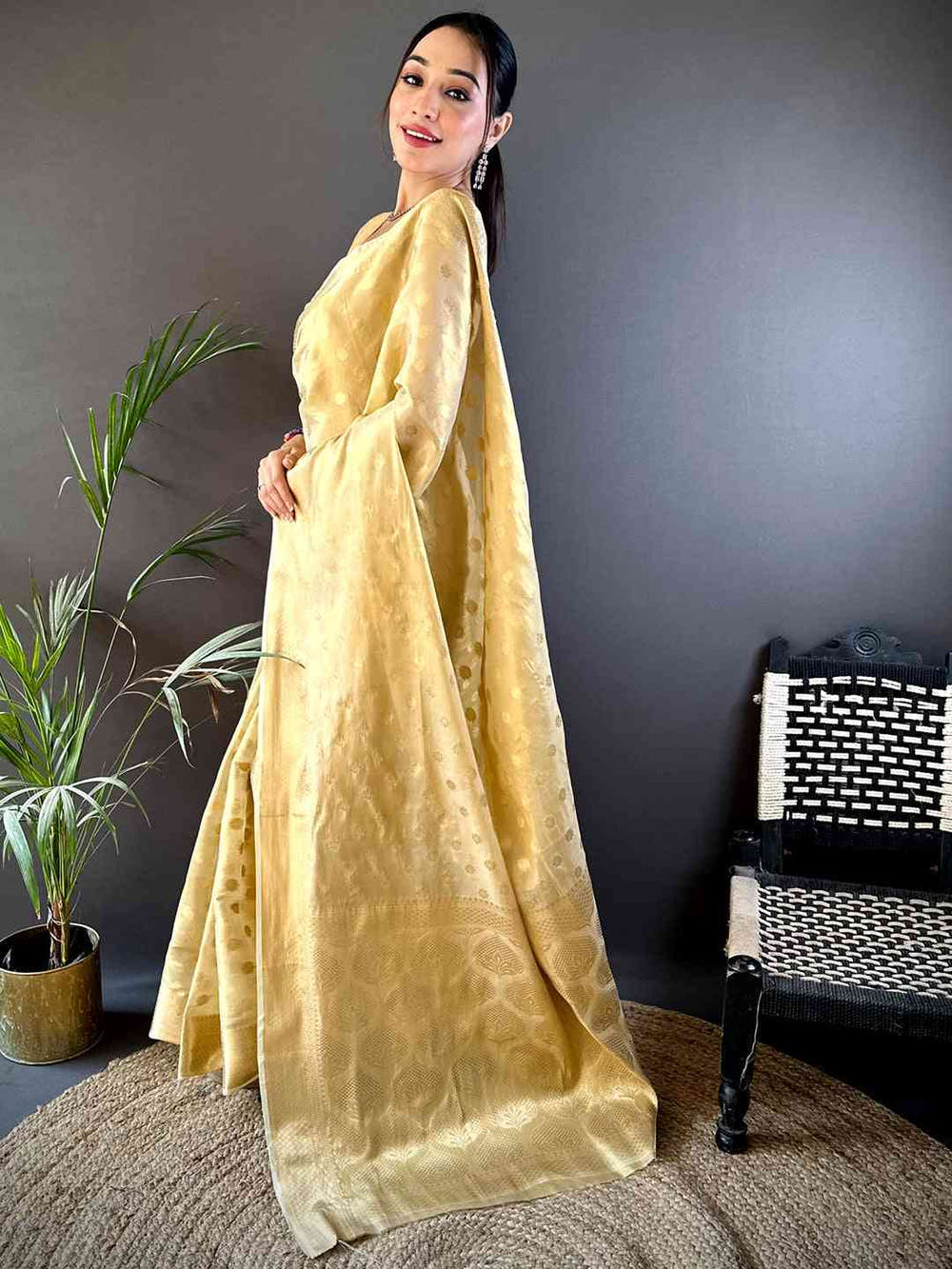Elegant Gold Zari Glass Tissue Saree