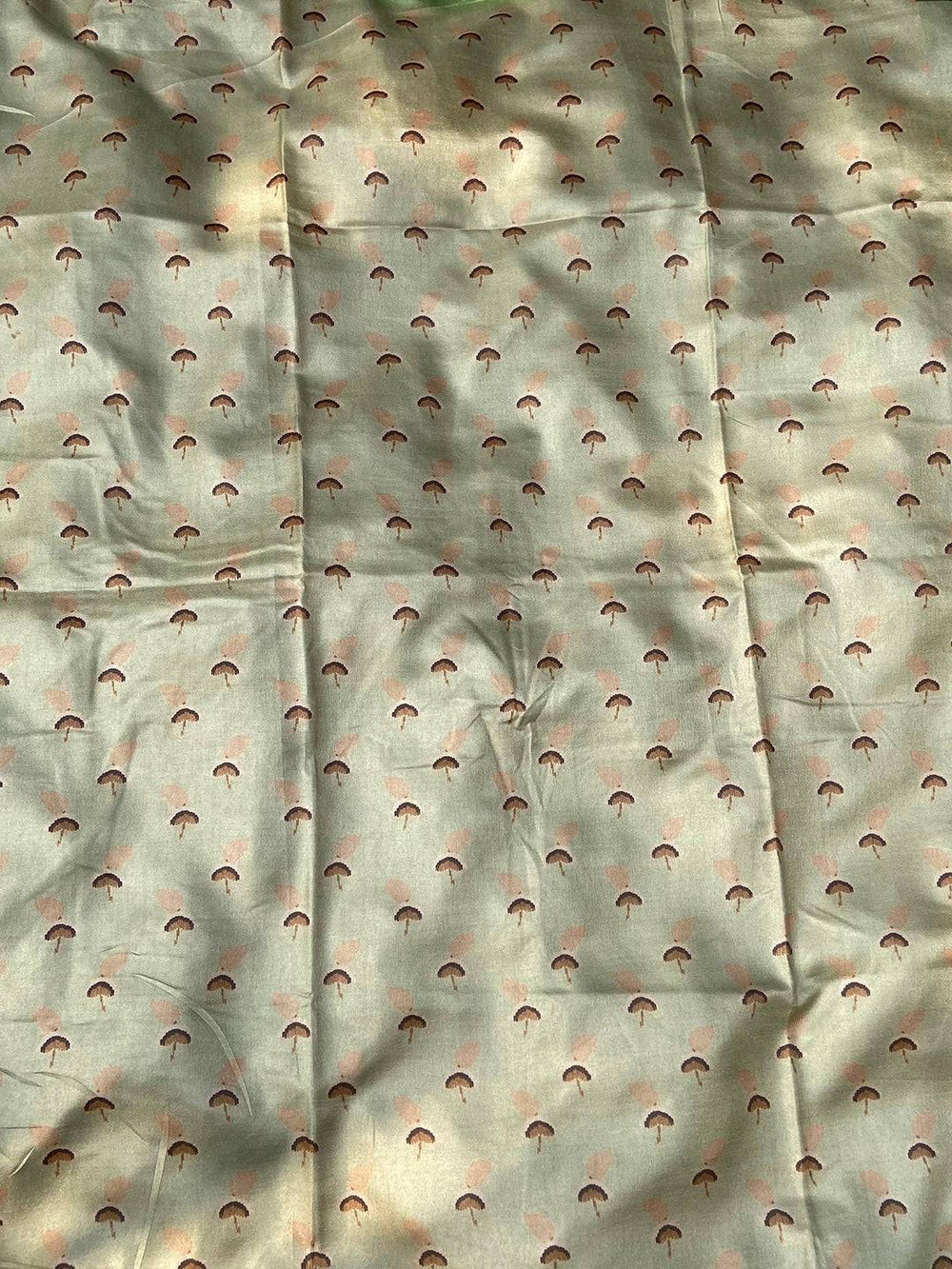 Backside of Pista Tussar Silk Saree with subtle design