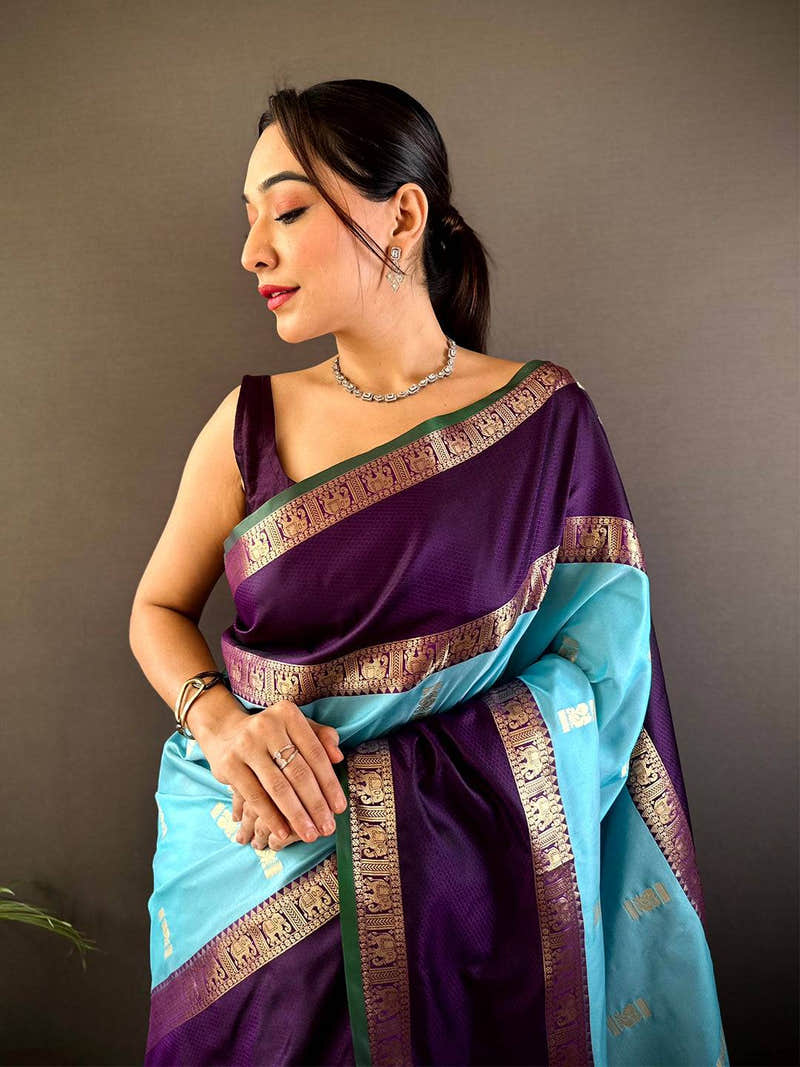 Ethereal Sky Gadwal Soft Silk Saree