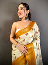 Vastranand Sarees