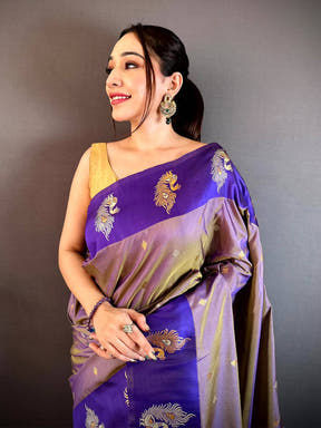 Classic Gold Silver Zari Rettapatta Border Saree