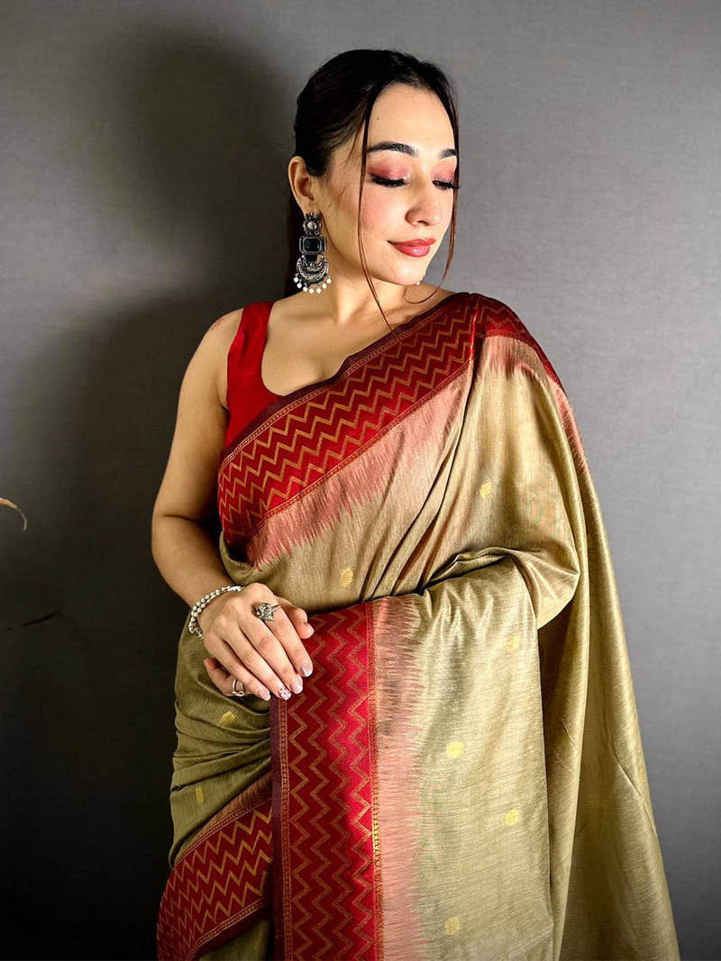 Royal Mul Cotton Katan Contrast Border Saree