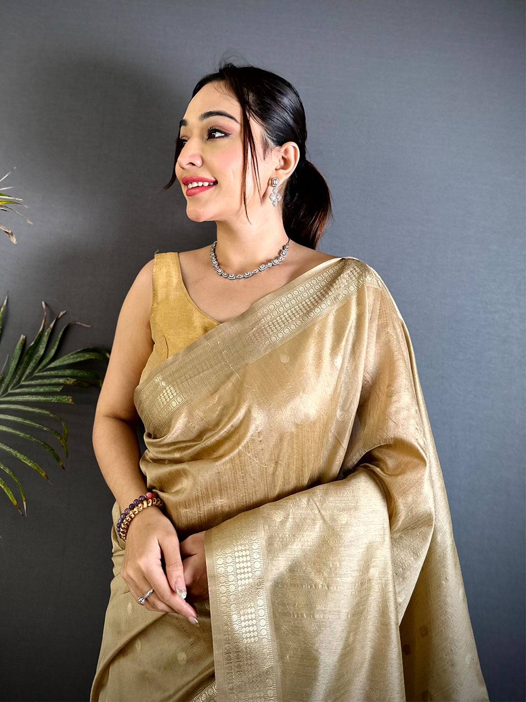 Chiku Minakari Paithani Raw Silk Saree



