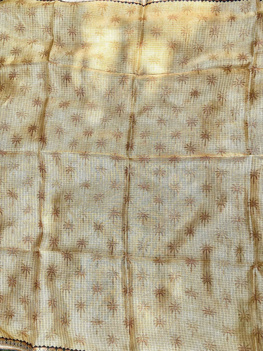 Backside of light green Kota Doriya silk saree with subtle palm patterns