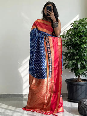 Front view of Soft Gadwal Border Pochampally Print Saree