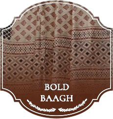 Baagh Sarees