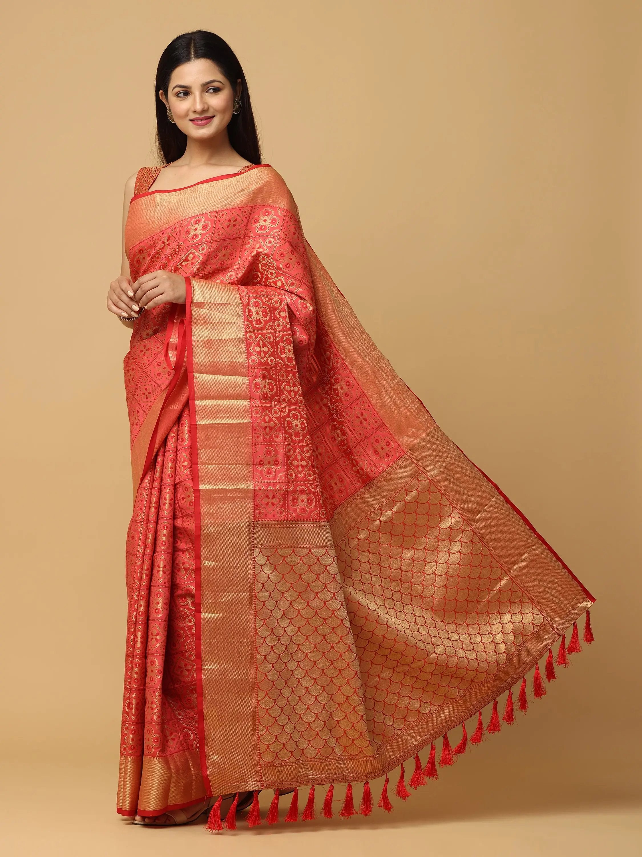  Patola Soft Silk Banarasi Saree With Zari border 