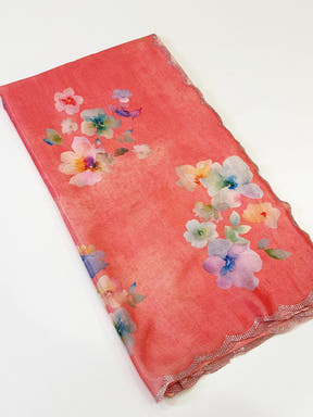 Coral Chinnon Stone Work Floral Saree