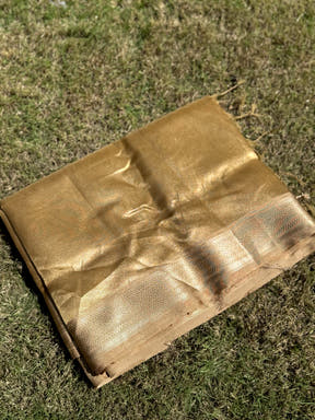 Elegant Brown Gold Zari Tissue Saree


