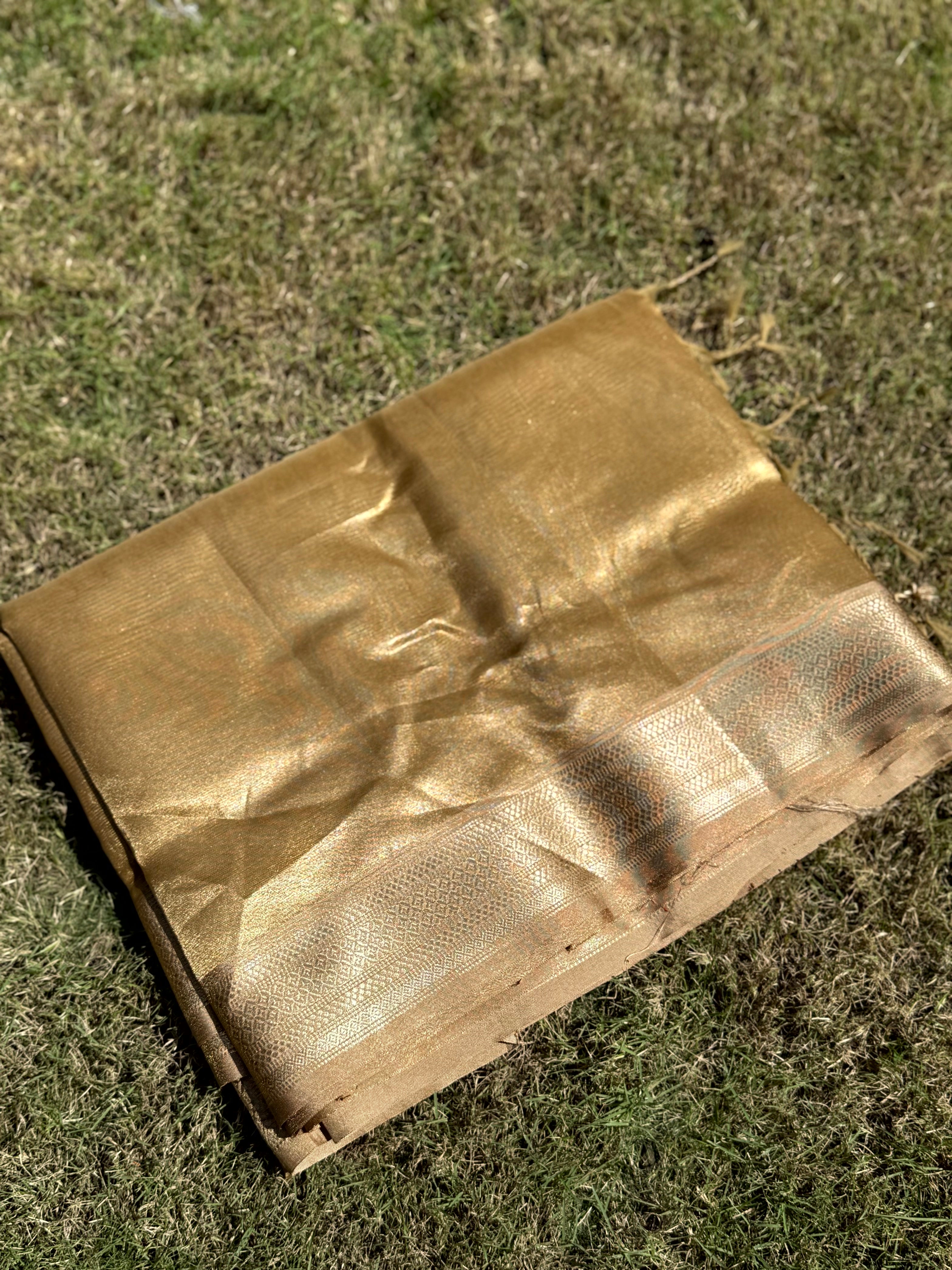 Elegant Brown Gold Zari Tissue Saree