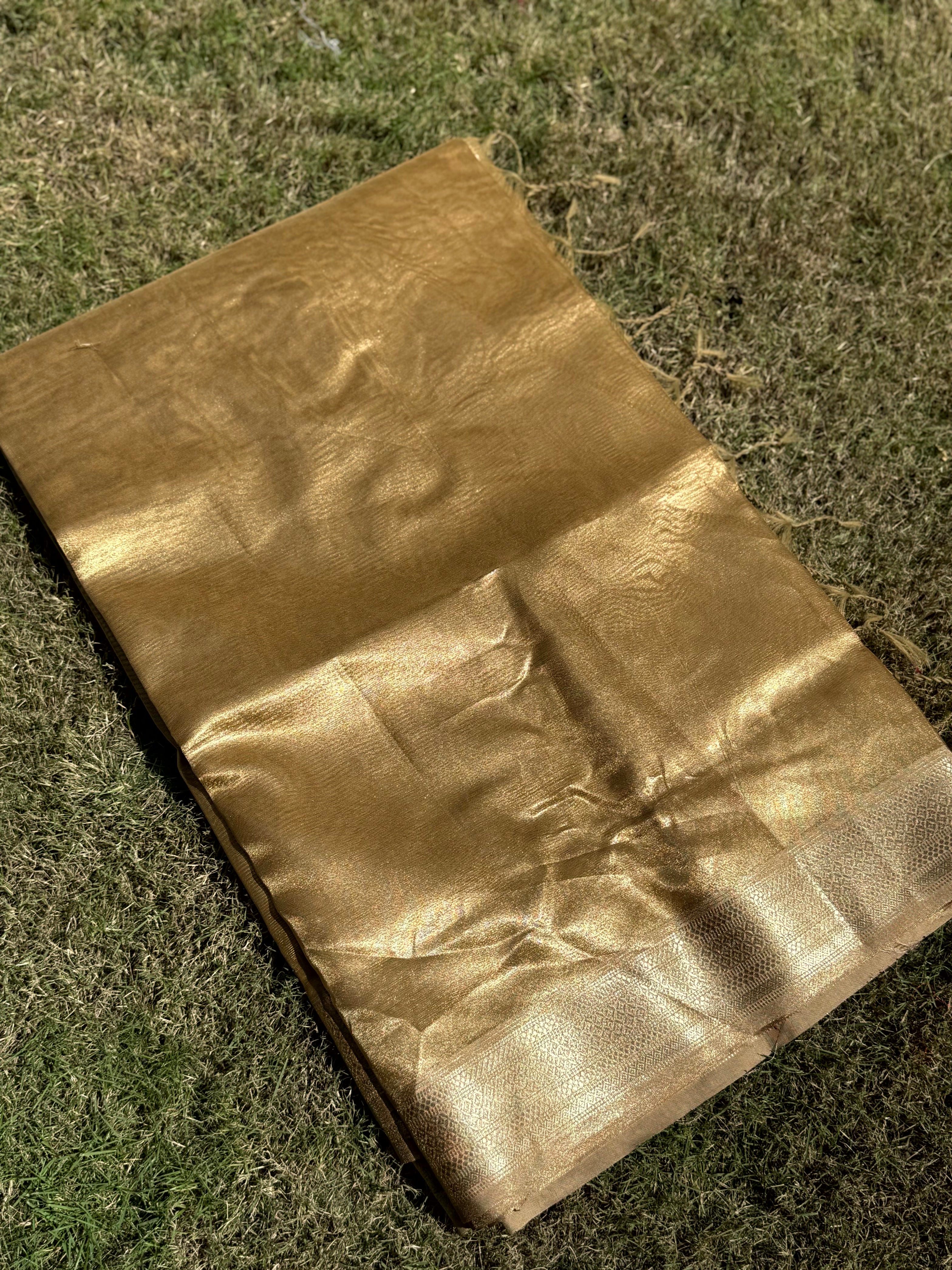 Elegant Brown Gold Zari Tissue Saree
