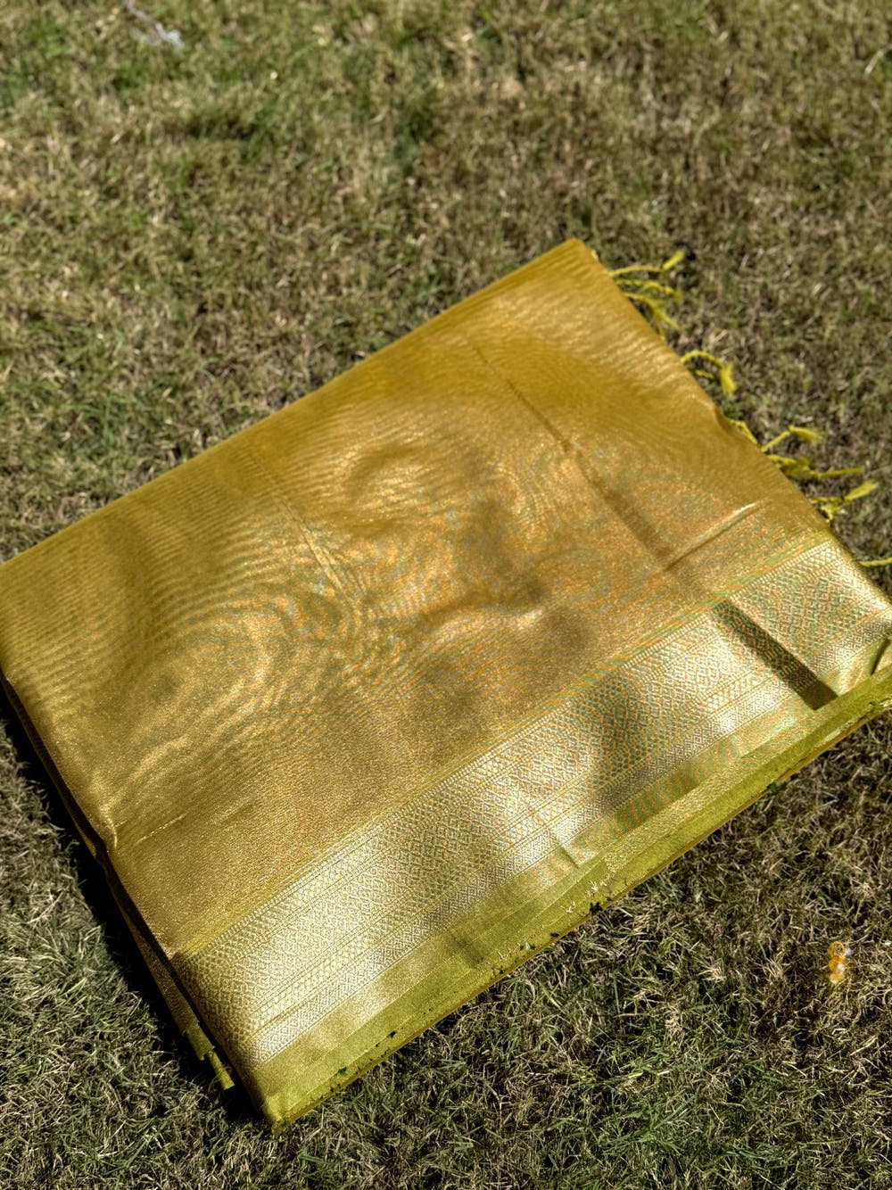 Radiant Green Gold Zari Tissue Saree

