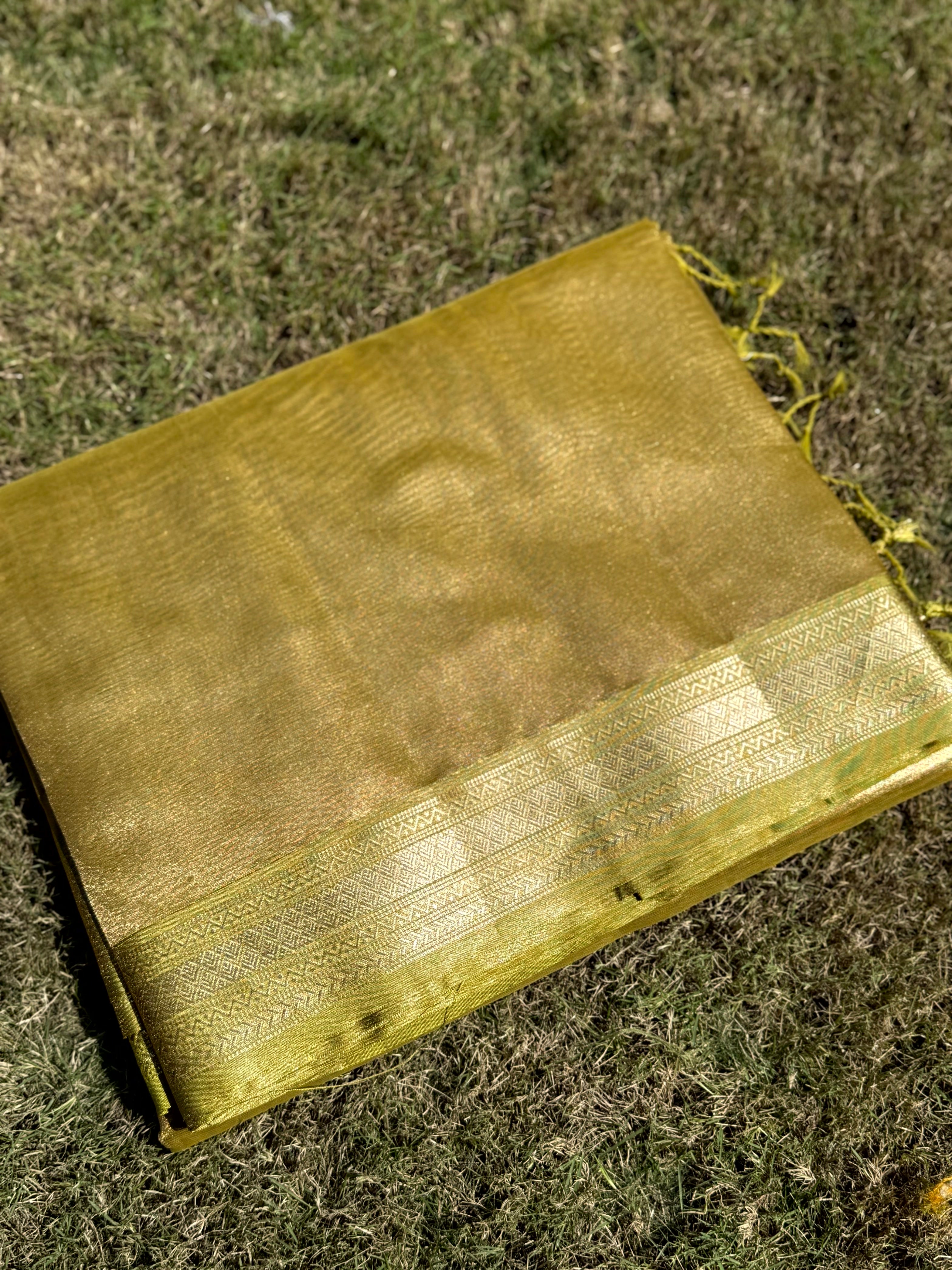 Elegant Green Gold Zari Tissue Saree